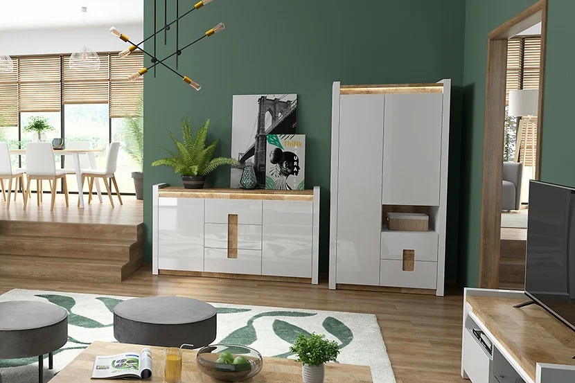 dwudrzwiowa szafa do salonu